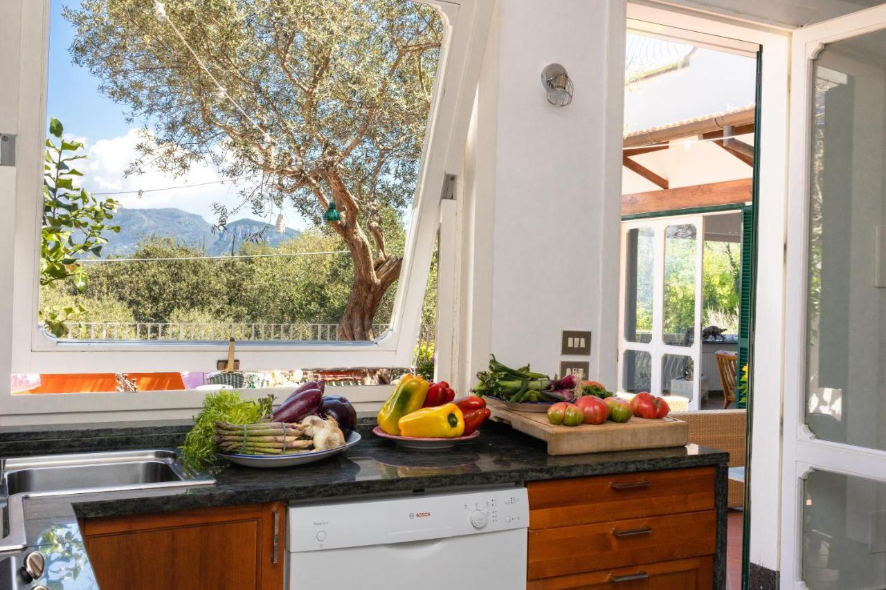 Eden Villa Sorrento Bagian luar foto
